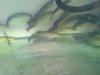 DSC00273.1.jpg