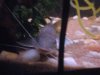 bens fish 029.jpg