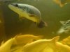 DSC00358.1.jpg