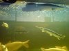 DSC00364.1.jpg