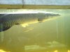 DSC00369.1.jpg