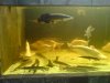 DSC00407.1.jpg