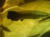 DSC00457.1.jpg