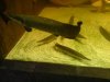 DSC00462.1.jpg