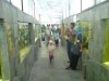 DSC00343.11111.jpg