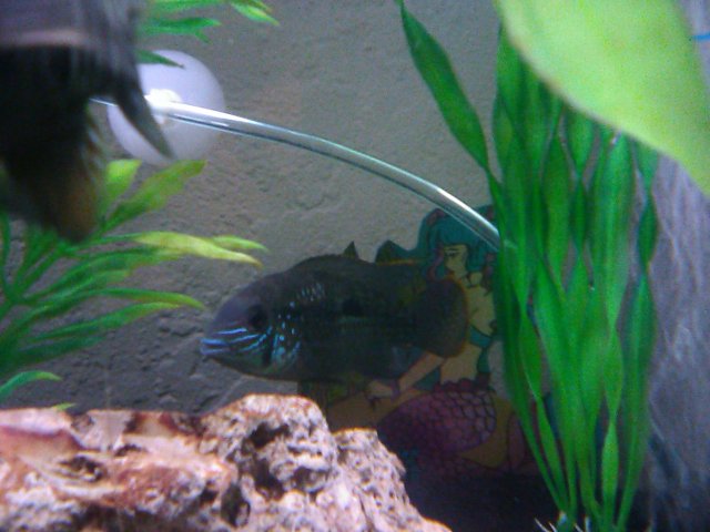 IMG-7BmxtZhWtO81knNzPCqA*Z.jpg