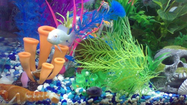 IMG_20200708_193107.jpg