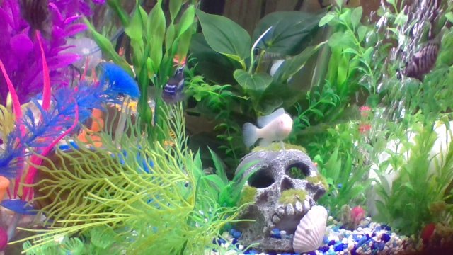 IMG_20200708_193055.jpg
