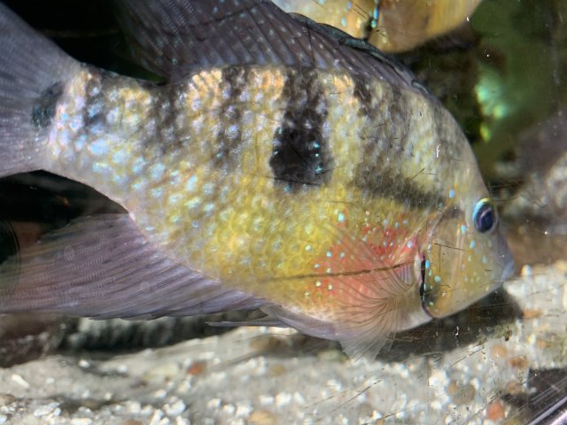 2764D7D3-06A4-404E-9366-B6EC924E66EA.jpeg 2764D7D3-06A4-404E-9366-B6EC924E66EA.jpeg