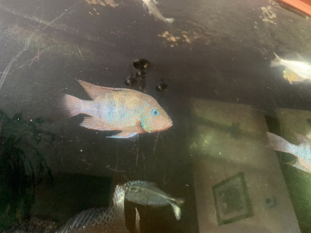 49306471-1D5A-48F0-9C64-4DD661D93605.jpeg 49306471-1D5A-48F0-9C64-4DD661D93605.jpeg