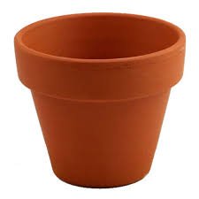 download (11).jpeg download (11).jpeg