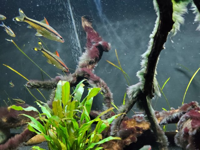 20200711_204814.jpg