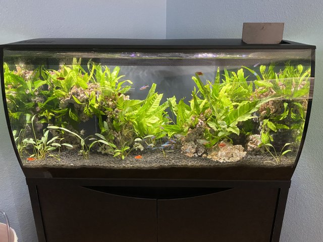 07-12-2020 Week 5.jpg