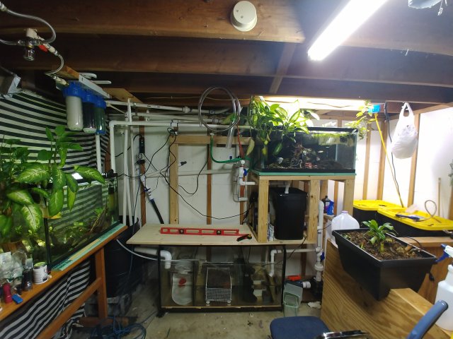 20190316_212139.jpg