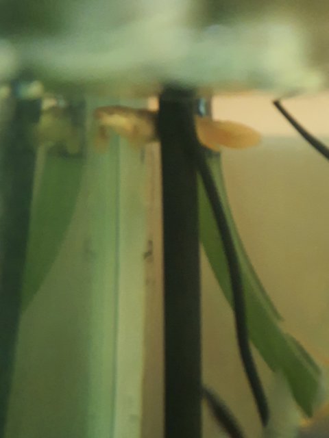 20200719_163918.jpg