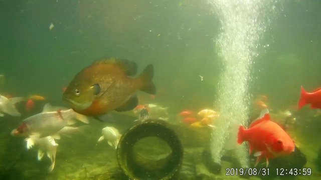 VideoCapture_20190901-195431.jpg