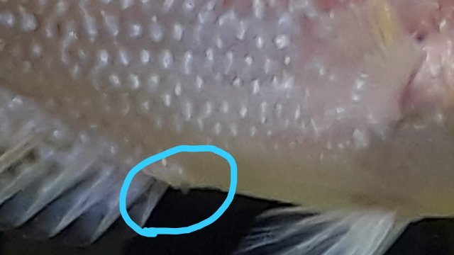 IMG-20200719-WA0007.jpg IMG-20200719-WA0007.jpg