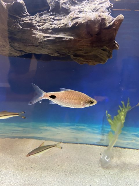 IMG_0256.jpg IMG_0256.jpg