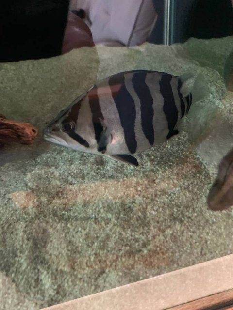 00F0F_8u6XJ1M5lJt_0t20CI_1200x900.jpg 00F0F_8u6XJ1M5lJt_0t20CI_1200x900.jpg