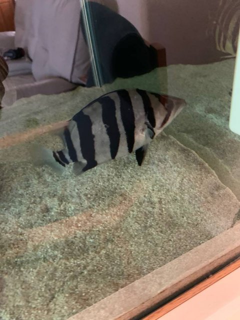 01111_hGXuurNCFDK_0t20CI_1200x900.jpg 01111_hGXuurNCFDK_0t20CI_1200x900.jpg