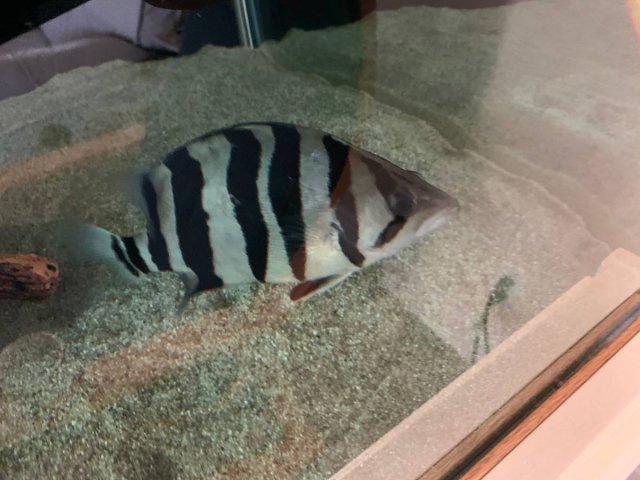 01616_3CgbyuKXLhb_0CI0t2_1200x900.jpg 01616_3CgbyuKXLhb_0CI0t2_1200x900.jpg