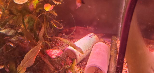 20200723_182458.jpg 20200723_182458.jpg