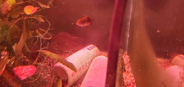 20200723_182433.jpg 20200723_182433.jpg