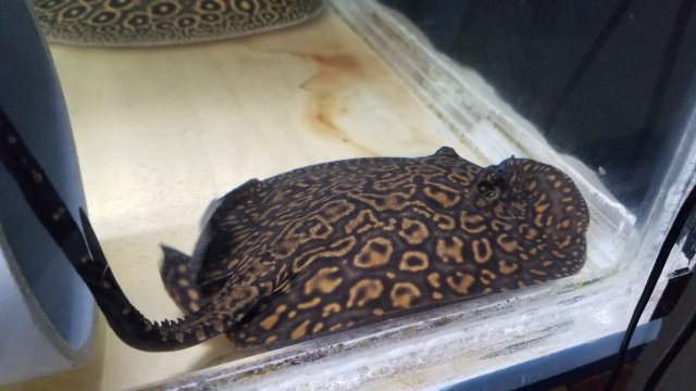 20200720_145430.jpg 20200720_145430.jpg