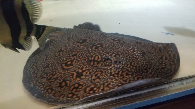 20191207_010133.jpg 20191207_010133.jpg