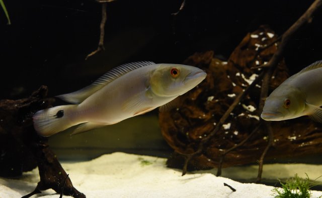 12-iloveimg-converted.jpg 12-iloveimg-converted.jpg