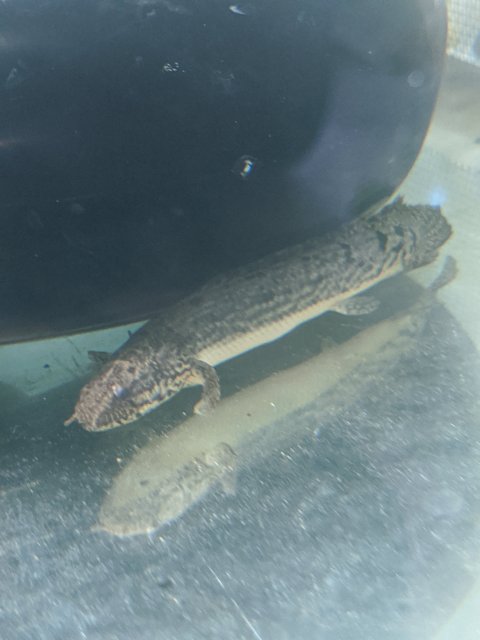 IMG_20200703_131522.jpg IMG_20200703_131522.jpg