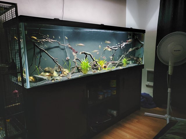 20200723_231241.jpg