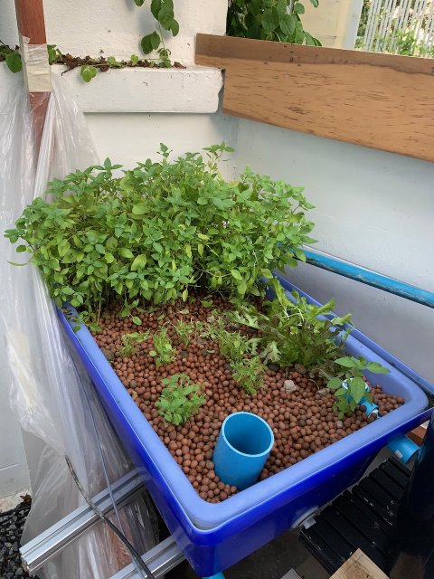 IMG_1799.jpeg IMG_1799.jpeg