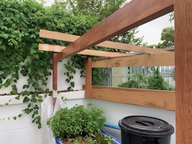 IMG_1808.jpeg IMG_1808.jpeg