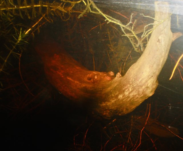 D7ECA5D9-CC50-4476-9247-7FA058D7EC99_1_201_a.jpeg D7ECA5D9-CC50-4476-9247-7FA058D7EC99_1_201_a.jpeg