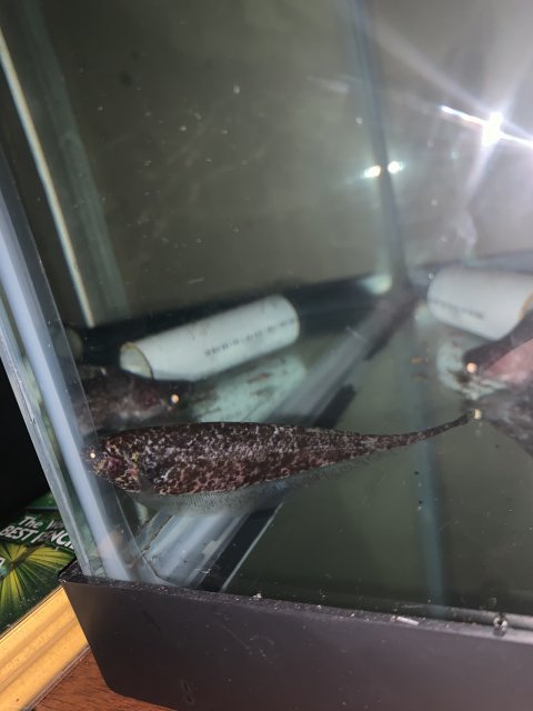 A0F0D077-372F-4062-85AF-77077C436040.jpeg