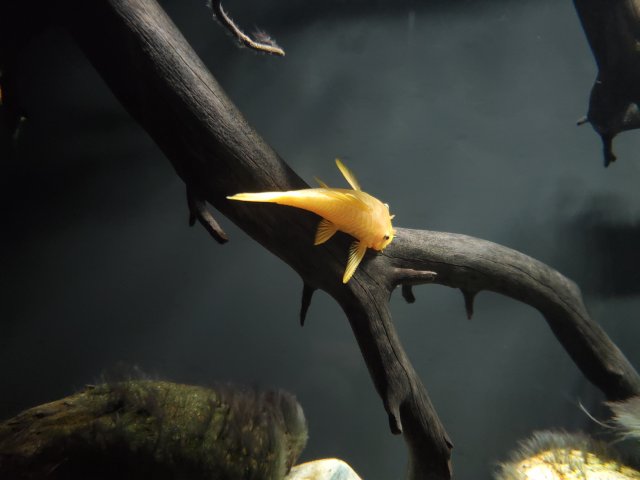 20200731_134141.jpg