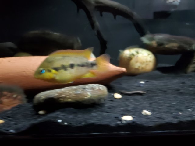 20200731_134257.jpg