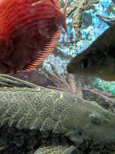 MVIMG_20200727_203843.jpg MVIMG_20200727_203843.jpg