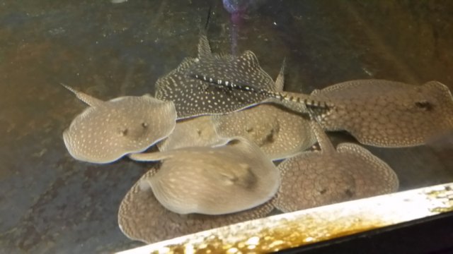 20200801_123810.jpg