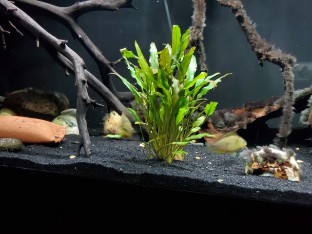 20200803_212716.jpg