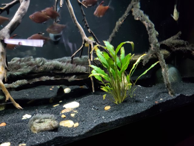 20200803_212720.jpg