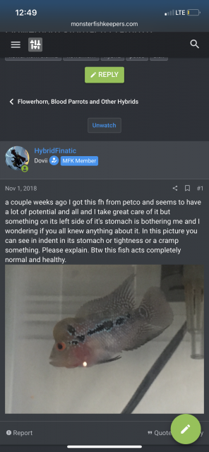 0CF6D092-CDEC-419D-87D5-F0E9B9A4E3D4.png