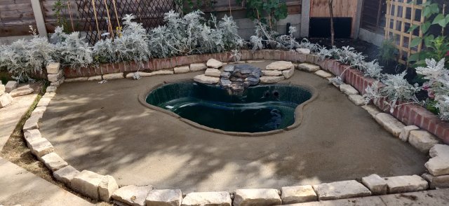 IMG_20200805_155730.jpg