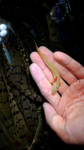 20200803_193729.jpg