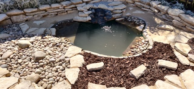 IMG_20200807_135143.jpg