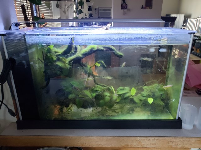 20200807_174209.jpg 20200807_174209.jpg