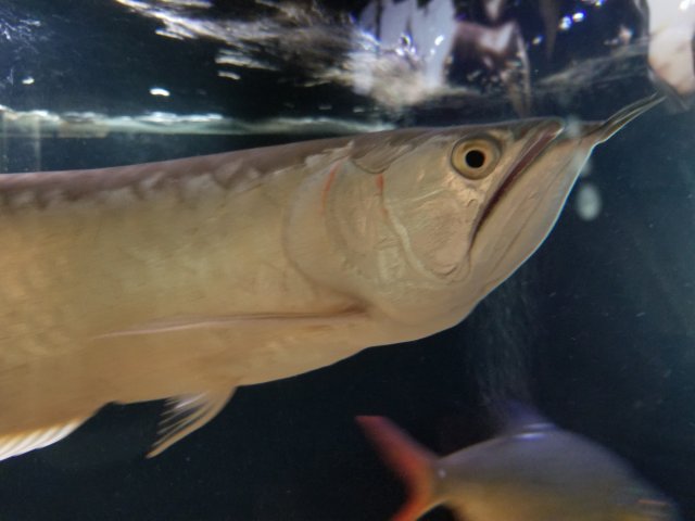 20200807_120334.jpg