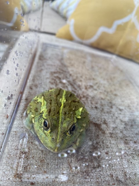 B3027F8A-F2AC-448B-B9C4-4712F6FCFD28.jpeg B3027F8A-F2AC-448B-B9C4-4712F6FCFD28.jpeg