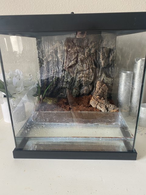 EFA42B8A-1FA2-4212-A1B8-0A073B446032.jpeg EFA42B8A-1FA2-4212-A1B8-0A073B446032.jpeg